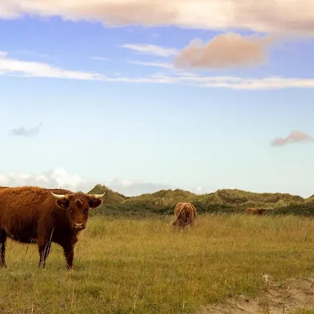 Familien Animation Cafe Spielplaetze Meerblick Wlan Fanø