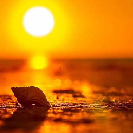 Familien Animation Cafe Spielplaetze Meerblick Wlan *