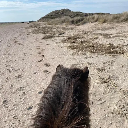 Apartmán Familien Animation Cafe Spielplaetze Meerblick Wlan Fanø