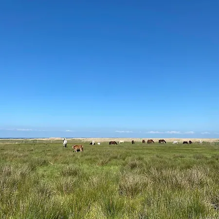 Familien Animation Cafe Spielplaetze Meerblick Wlan Apartmán