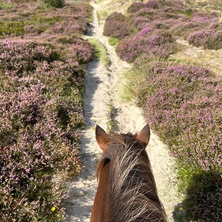 Apartmán Familien Animation Cafe Spielplaetze Meerblick Wlan Fanø