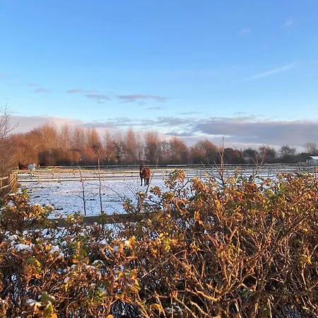 Familien Animation Cafe Spielplaetze Meerblick Wlan * Fanø
