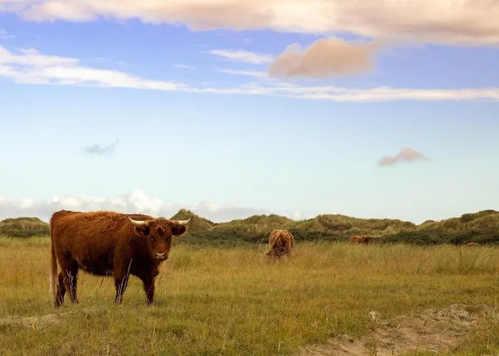 Familien Animation Cafe Spielplaetze Meerblick Wlan Fanø