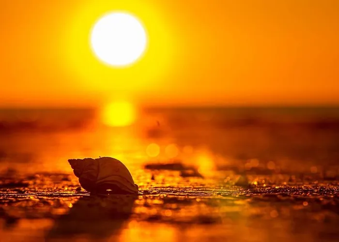 Familien Animation Cafe Spielplaetze Meerblick Wlan *