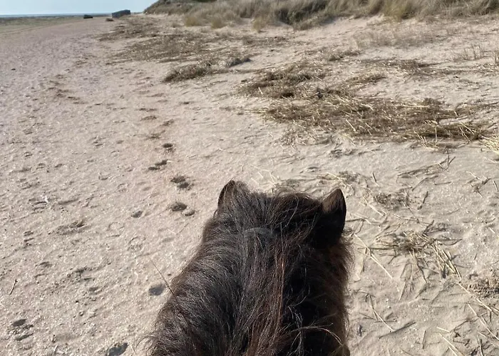 Apartamento Familien Animation Cafe Spielplaetze Meerblick Wlan Fanø