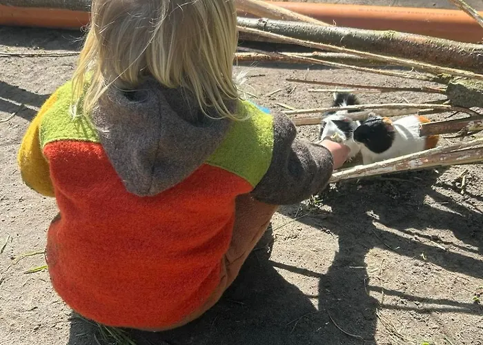 Apartamento Familien Animation Cafe Spielplaetze Meerblick Wlan *