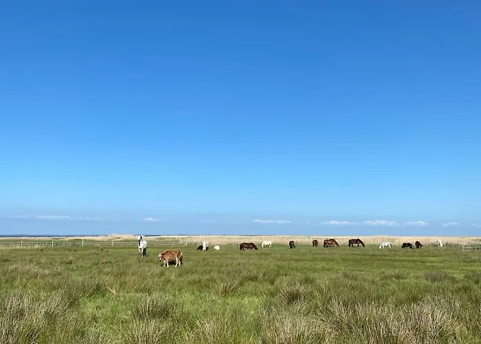 Familien Animation Cafe Spielplaetze Meerblick Wlan Apartamento