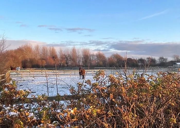 Familien Animation Cafe Spielplaetze Meerblick Wlan * Fanø